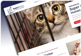 Super Heroes Humane Society 